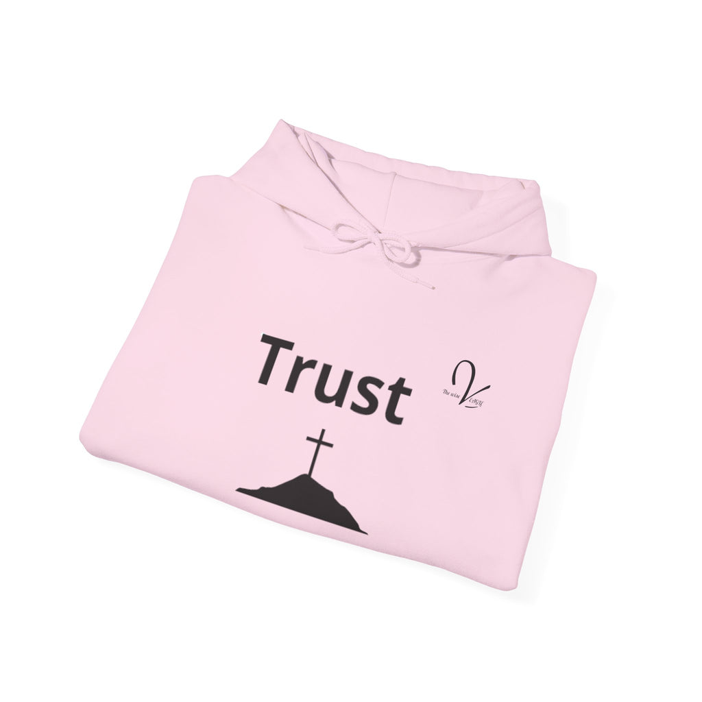 Sweatshirt  «Trust»