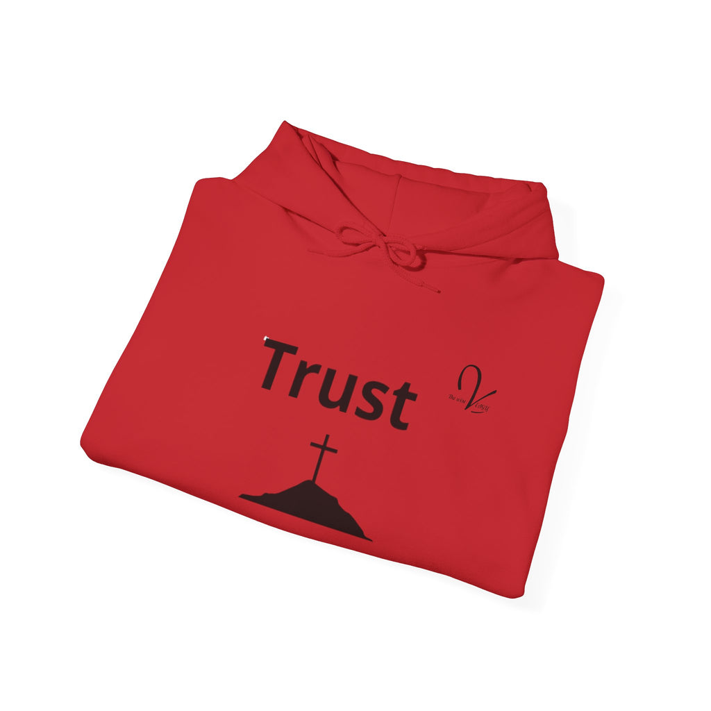 Sweatshirt  «Trust»