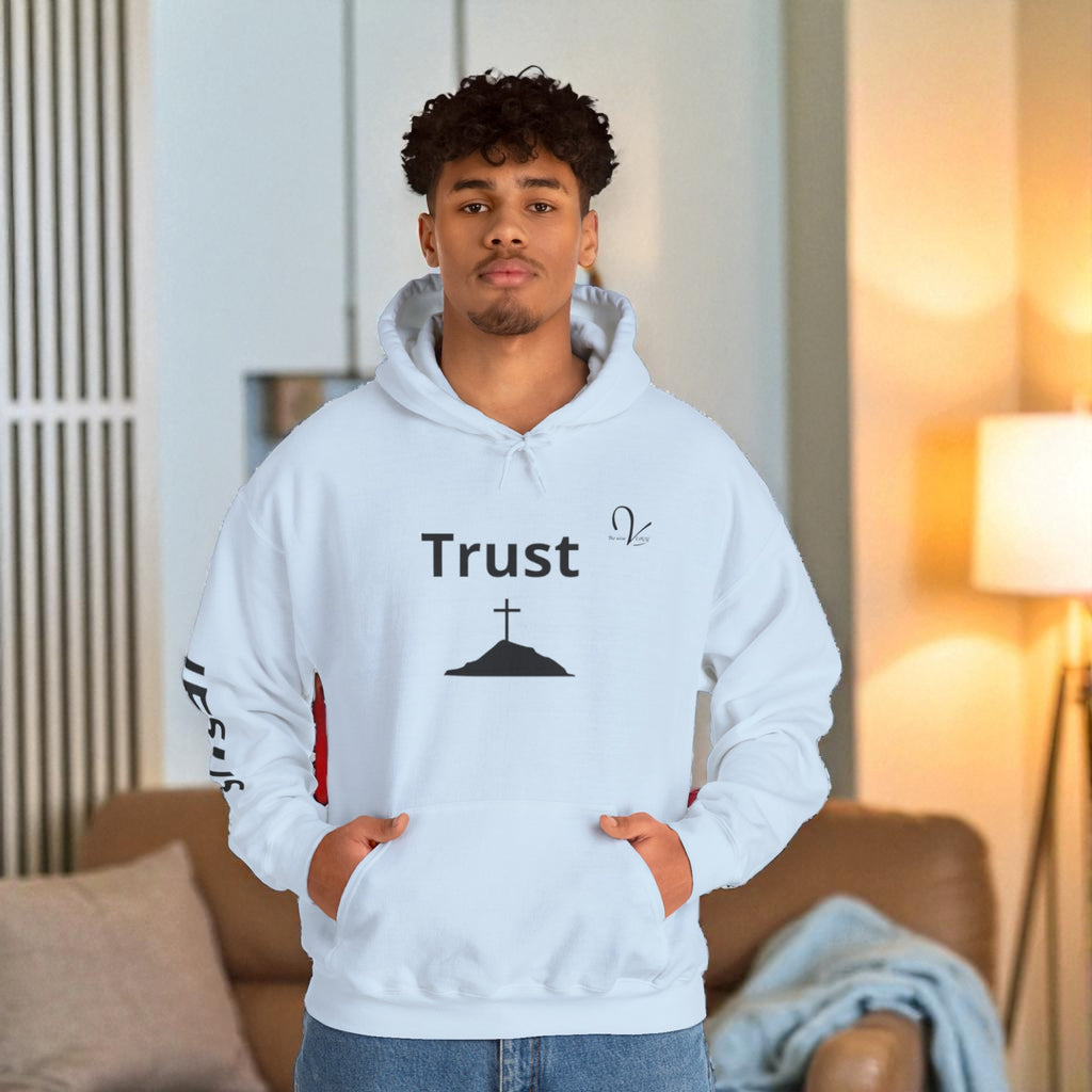 Sweatshirt  «Trust»