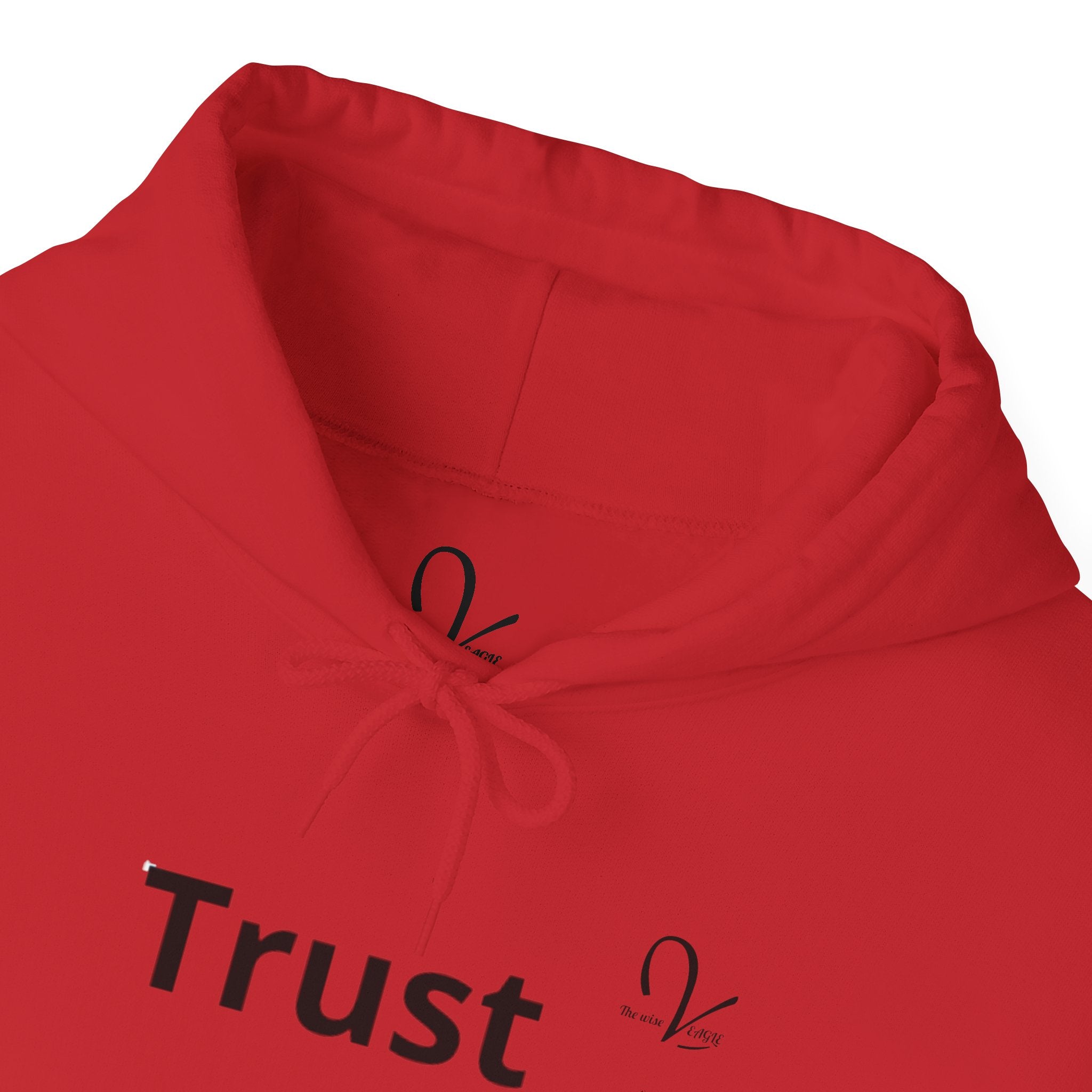 Sweatshirt  «Trust»